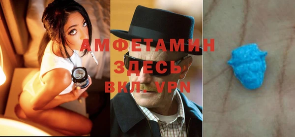 гидра Семилуки