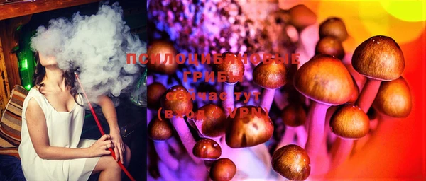 ПСИЛОЦИБИНОВЫЕ ГРИБЫ Семёнов