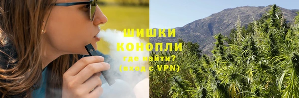 ПСИЛОЦИБИНОВЫЕ ГРИБЫ Семёнов