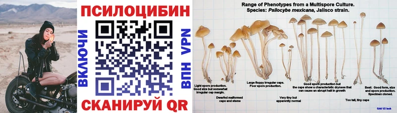 Псилоцибиновые грибы GOLDEN TEACHER  KRAKEN рабочий сайт  Дудинка 
